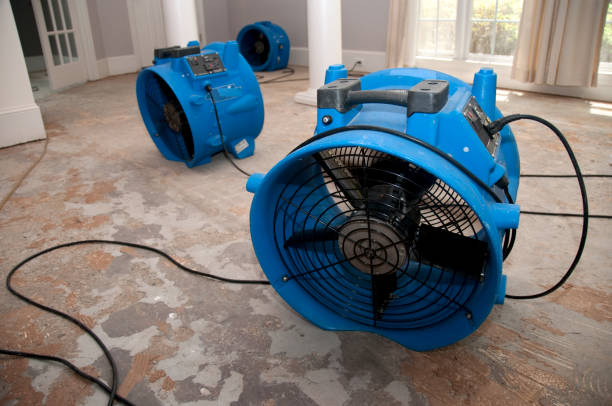 Reliable Johnston City, IL Water damage restoration Solutions